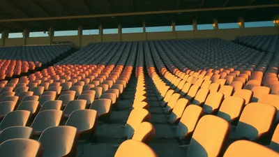 Seleção tem apenas quatro colegas seguidos no Instagram – confira quem